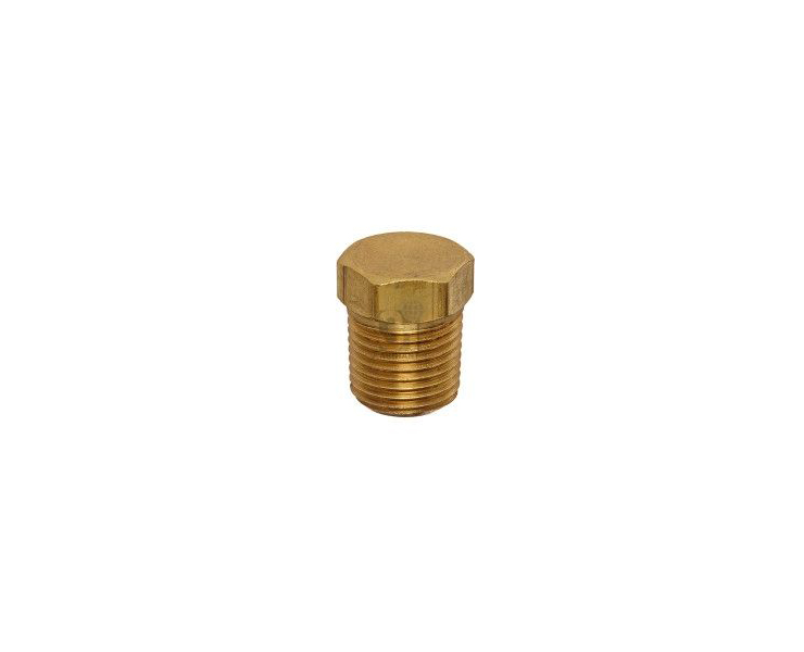 Brass Plug